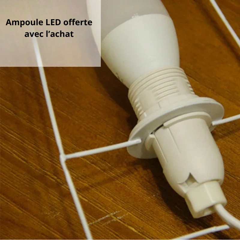 Lampe lanterne ampoule offerte